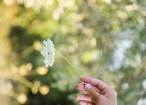 爱之乡,一场心灵与自然的邂逅之旅