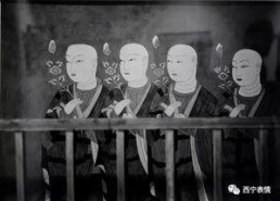 心跳回响,探寻生命律动的奥秘