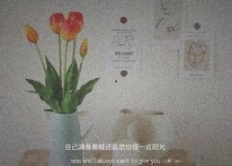 生命中的不期而遇,邂逅美好，感悟人生